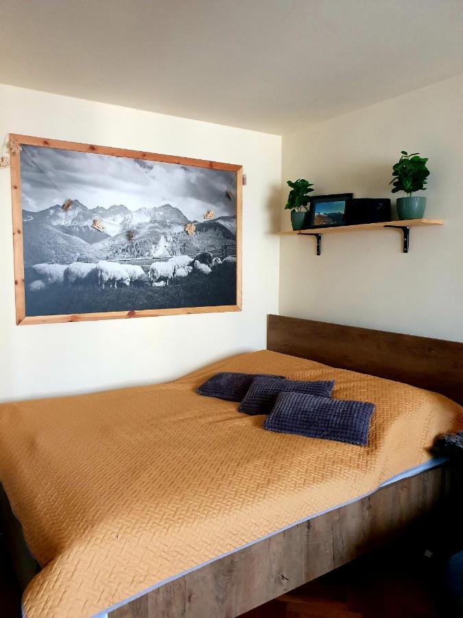 Apartament Izba W Centrum Zakopane Esterno foto